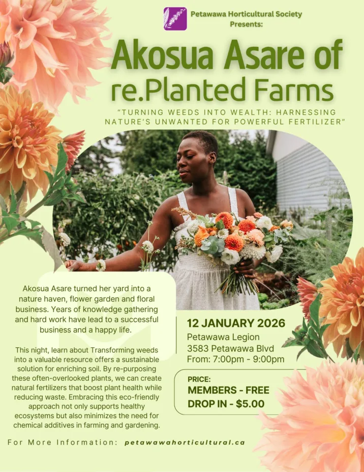 Akosua Asare of re.Planted Farms