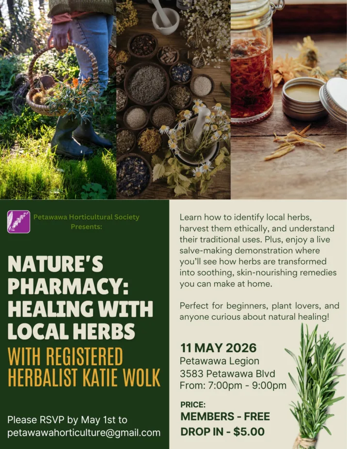 Nature’s Pharmacy: Healing with Local Herbs
