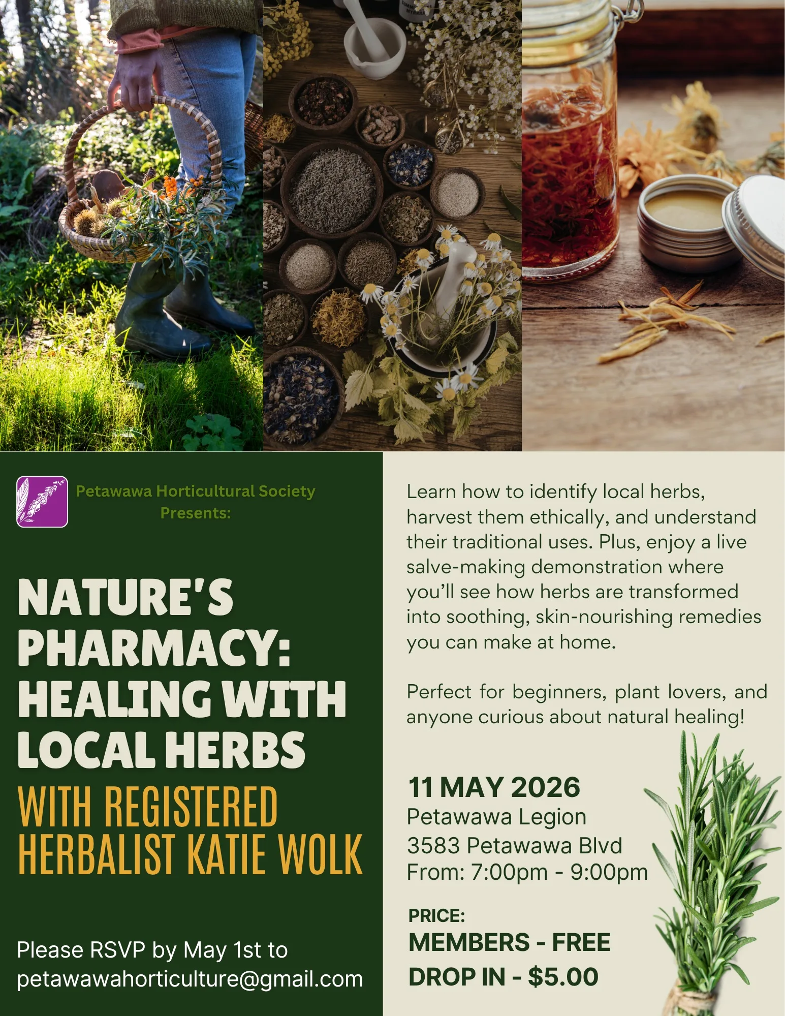 Nature’s Pharmacy: Healing with Local Herbs